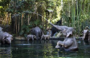 Disney anuncia fechamento imediato da atração Jungle Cruise na Disneyland
