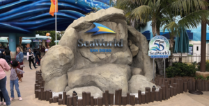 SeaWorld San Diego substitui fogos de artifício por espetáculo inovador com 1.000 drones