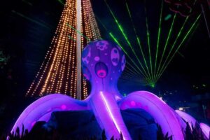 Saiba mais sobre o evento Electric Ocean do SeaWorld San Diego