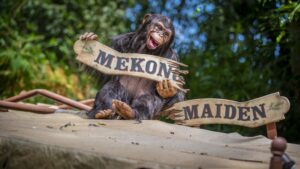 Novas aventuras o aguardam na atração Jungle Cruise