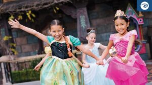 Já é possível fazer reserva para a Bibbidi Bobbidi Boutique