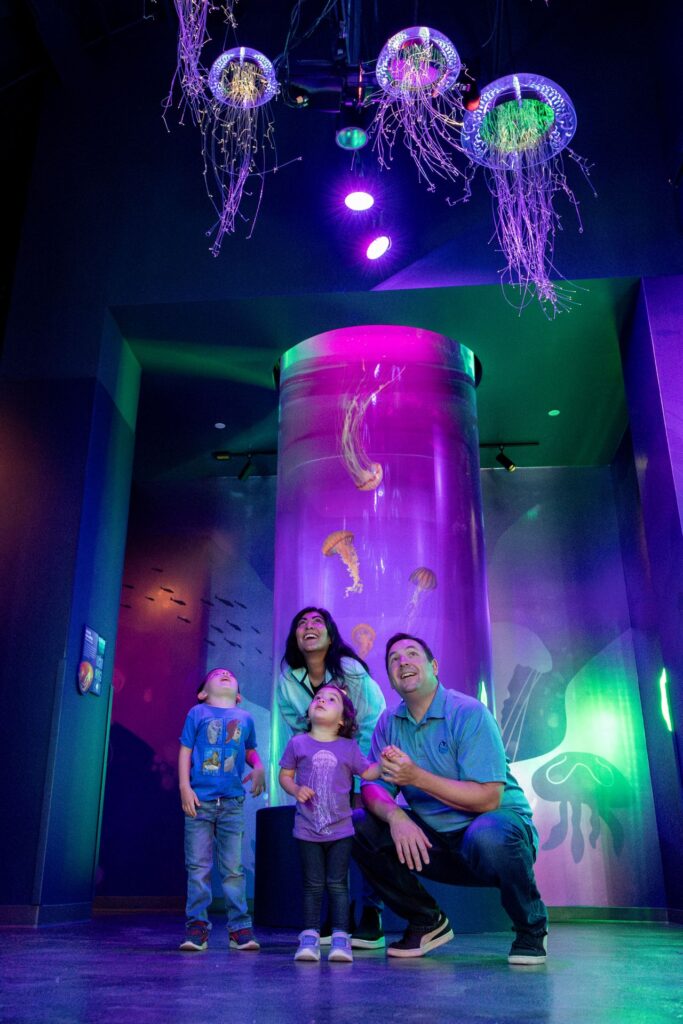 24 swc jewelsofthesea family 2 seaworld san diego jpg